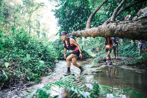 BIB: 
                            <button type="button" onclick="openModal(25441854)" class="btn btn-primary btn-sm float-right btn-popup" data-toggle="modal" data-target=".modal-high-quality">
                        <i class="fas fa-shopping-cart"></i> Add to Cart
                    </button>
                                            <button type="button" onclick="isThisMe(25441854, true)" class="btn btn-success btn-sm float-right btn-popup btn-isme hidden" data-toggle="tooltip" data-placement="bottom" title="นี่คือรูปของคุณใช่ไหม คลิกที่นี่เพื่อเอาเข้าอัลบั้ม">
                        <i class="fas fa-plus"></i> Add to album
                    </button>
                    <button type="button" onclick="isThisMe(25441854, false)" class="btn btn-warning btn-sm float-right btn-popup btn-isnotme hidden">
                        <i class="fas fa-ban"></i> Remove from album
                    </button>